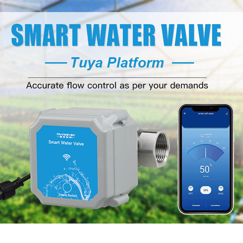 Tuya Zigbee of Wifi Intelligen - Smart Garden Gate recensie en prijs