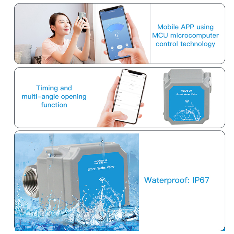 Tuya Zigbee of Wifi Intelligen - Smart Garden Gate recensie en prijs
