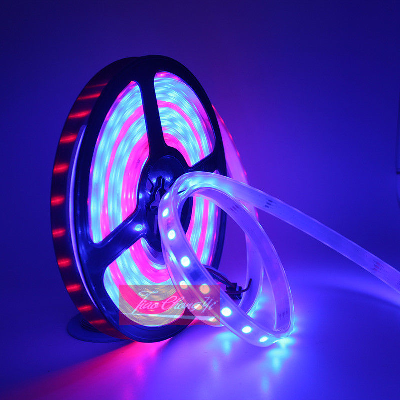 DC12V 5M Chasing Dream Magic K - Smart Garden Diy recensie en prijs