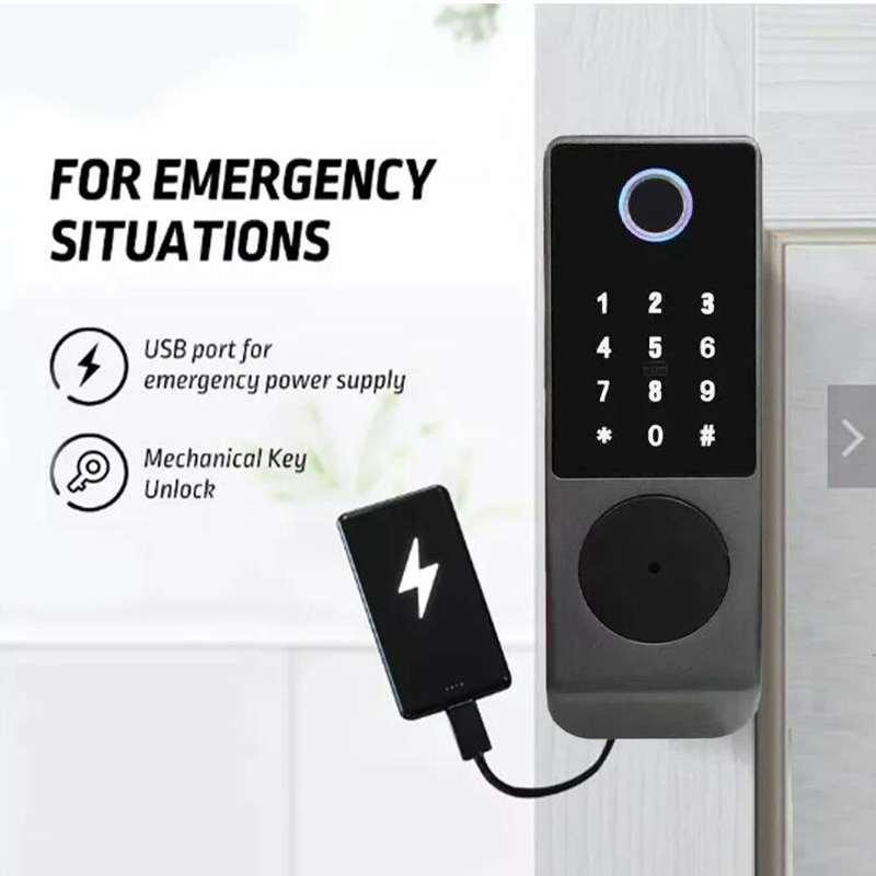 Wifi Tuya Smart Lock Waterdich - Smart Garden Gate recensie en prijs